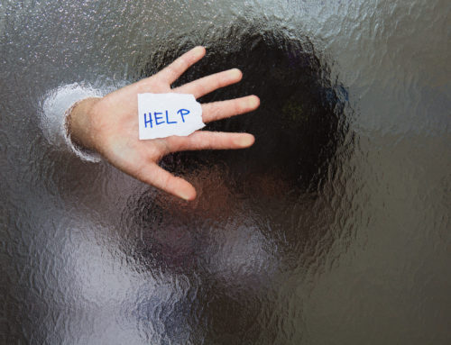 Seeking Asylum in the United States