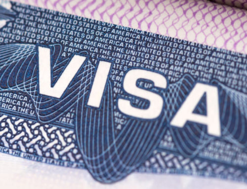 What visas and statuses automatically entitle a person to work in the USA?