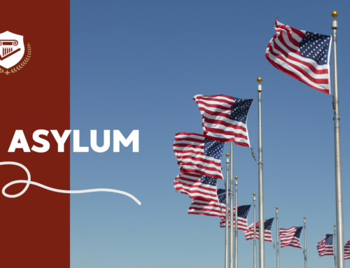 7 Steps to Asylum in the USA