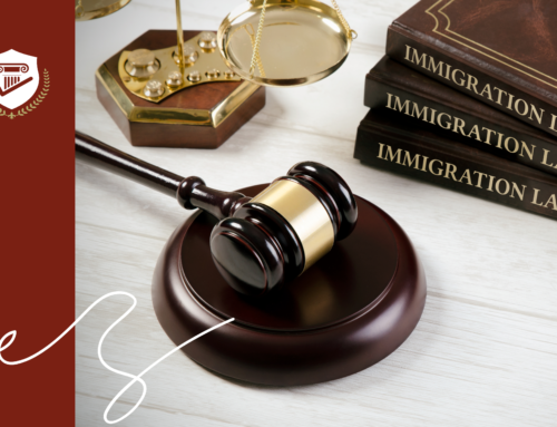 Immigration Judge Ratings: What They Mean for Your Case